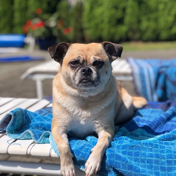 Meet your Posher, Adrienne - Picture 1 of 1